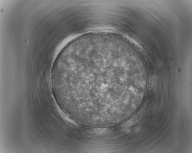 X0000085061470200703191312