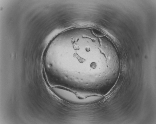 X0000085061471200703191312