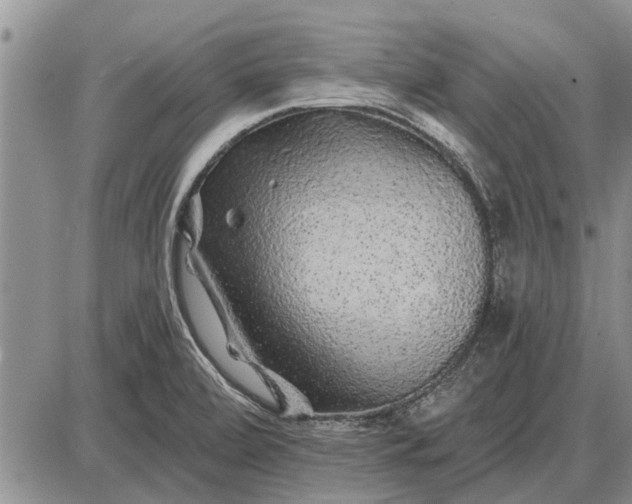 X0000085061472200703191312