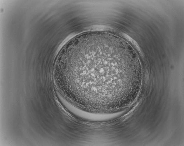 X0000085061473200703191312