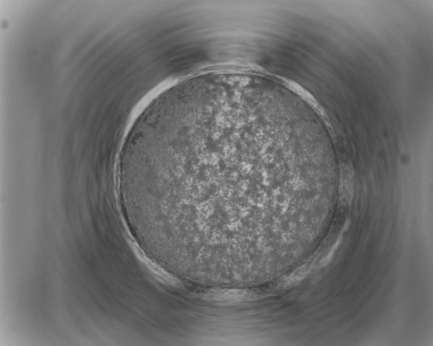 X0000085061474200703191312