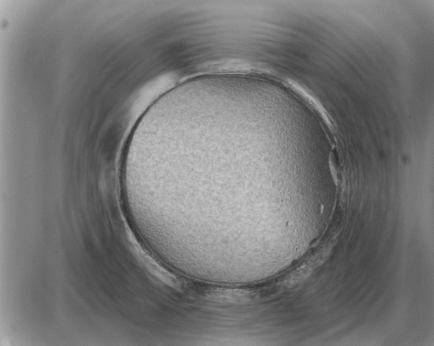 X0000085061475200703191312