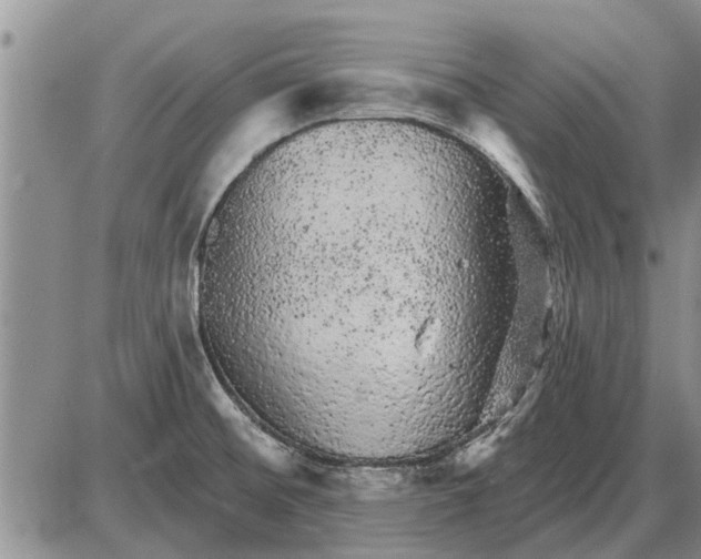 X0000085061476200703191312