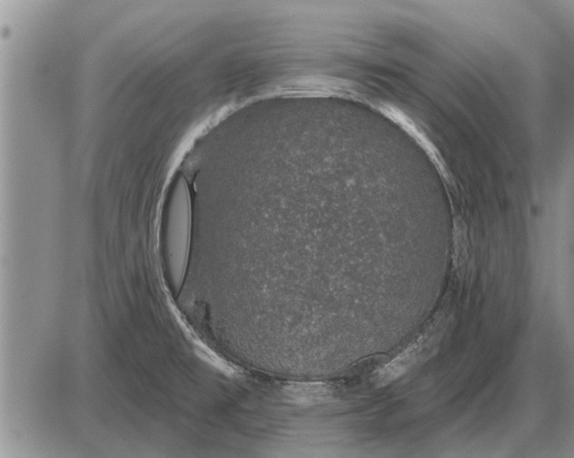 X0000085061477200703191312