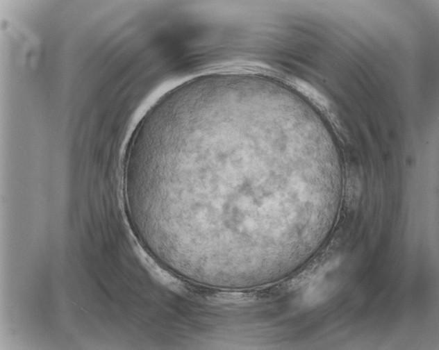 X0000085061478200703191312