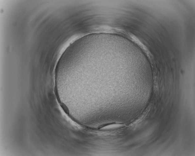 X0000085061479200703191312