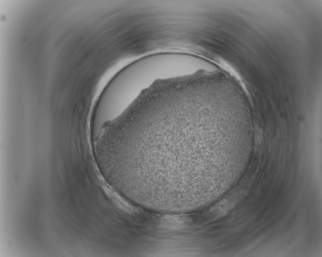 X0000085061480200703191312