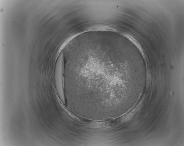 X0000085061481200703191312