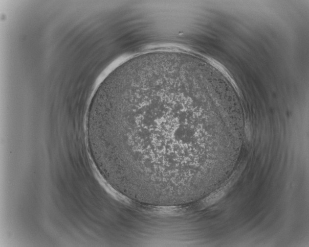 X0000085061482200703191312