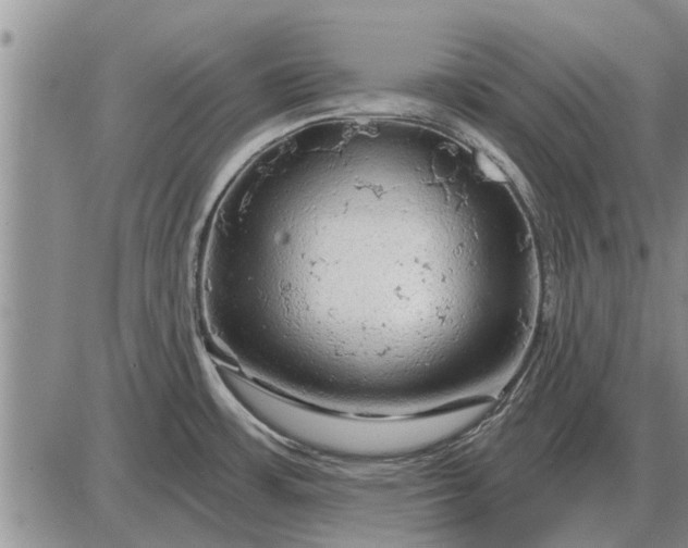 X0000085061483200703191312