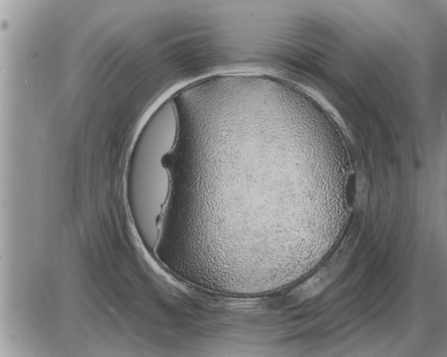 X0000085061484200703191312