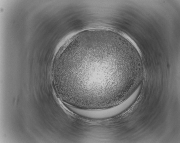 X0000085061485200703191312