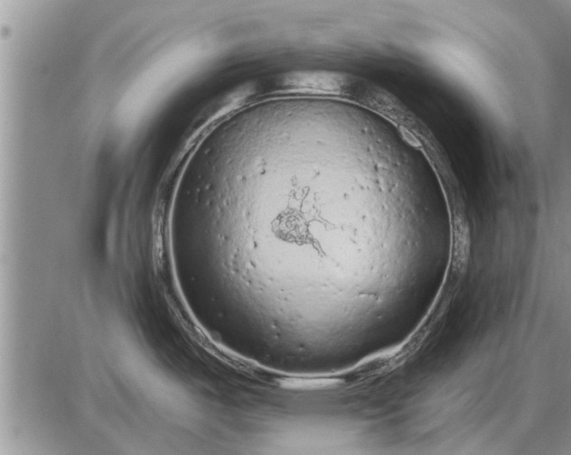 X0000085061487200703191312