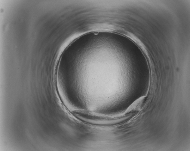 X0000085061488200703191312