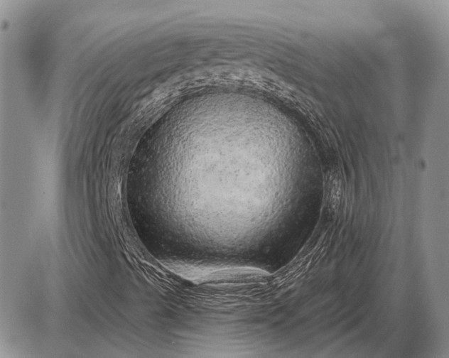 X0000085061489200703191311