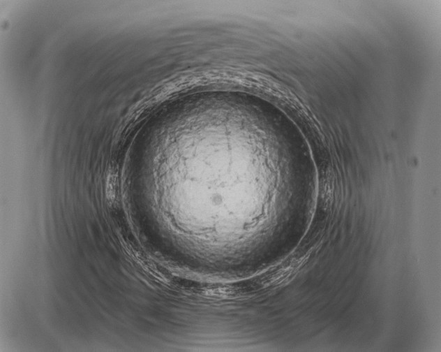 X0000085061490200703191311