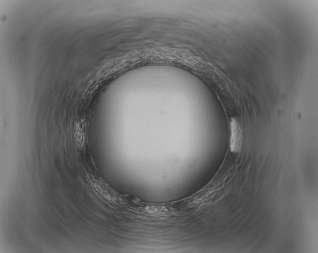 X0000085061491200703191311