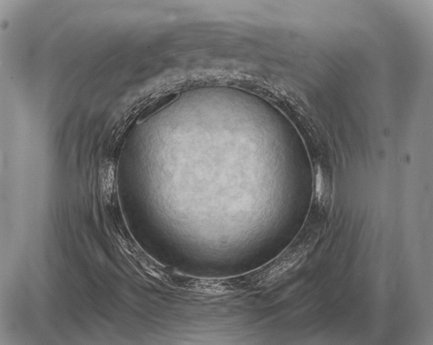 X0000085061492200703191311