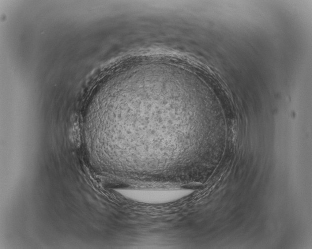 X0000085061493200703191311