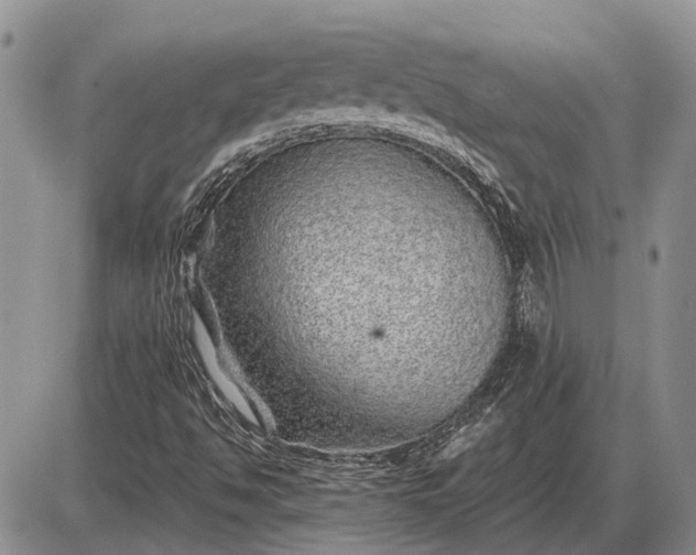 X0000085061494200703191311