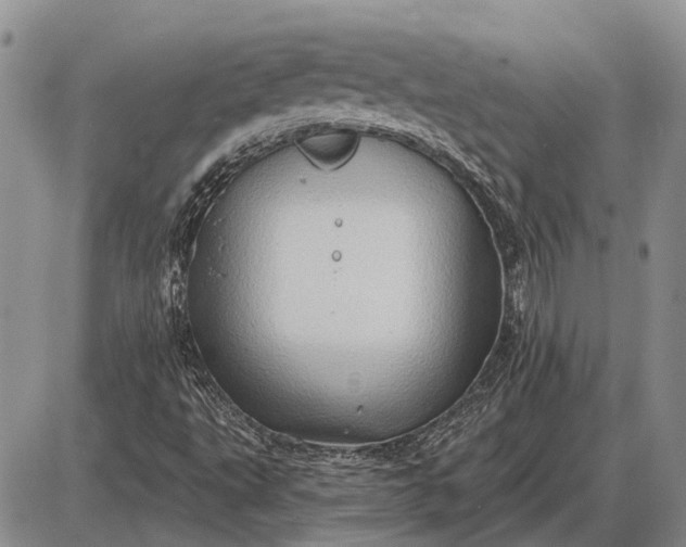 X0000085061495200703191311