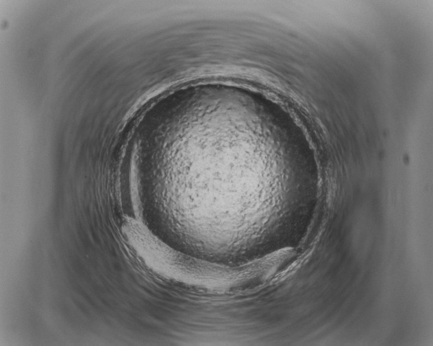 X0000085061497200703191311