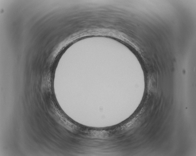 X0000085061498200703191311