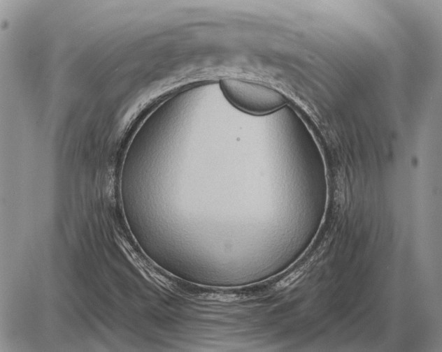 X0000085061499200703191311