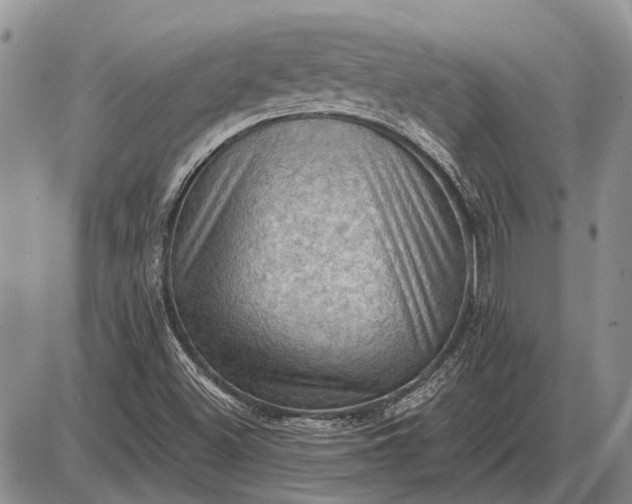 X0000085061500200703191311