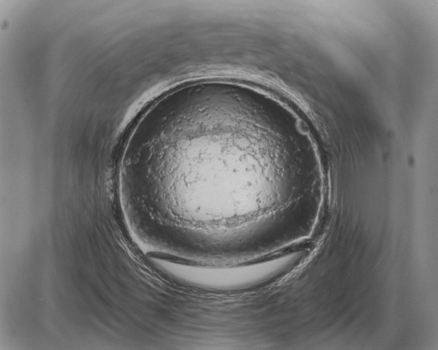 X0000085061501200703191311