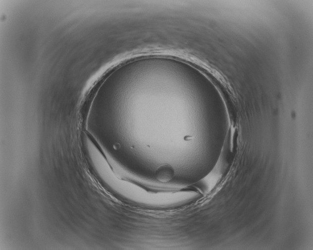 X0000085061502200703191311