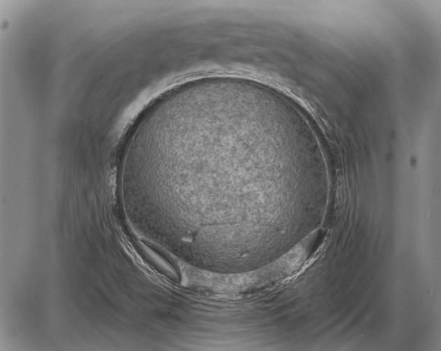 X0000085061503200703191311