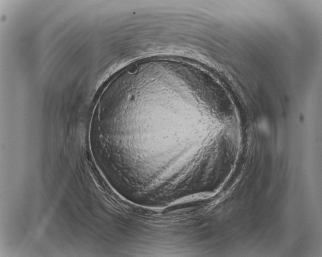 X0000085061505200703191311