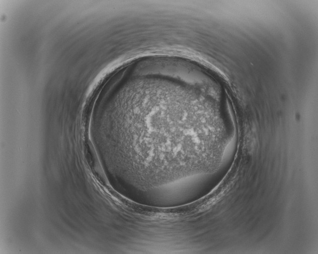 X0000085061506200703191311