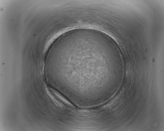 X0000085061507200703191311