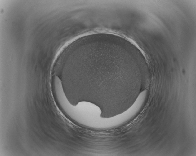 X0000085061508200703191311