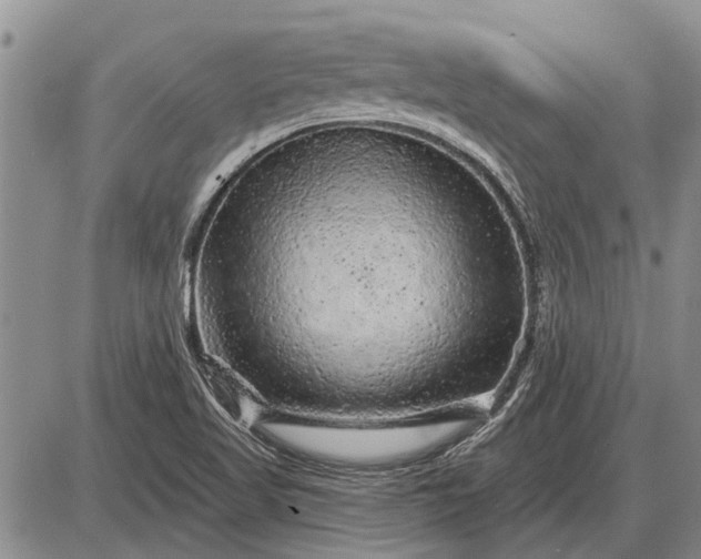 X0000085061509200703191311