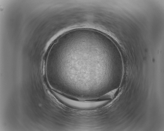 X0000085061510200703191311