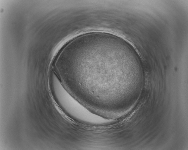 X0000085061511200703191311