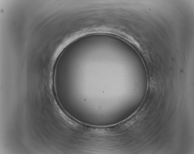 X0000085061512200703191311