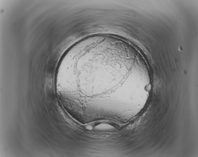 X0000085061513200703191311