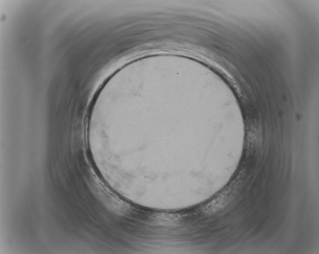 X0000085061514200703191311