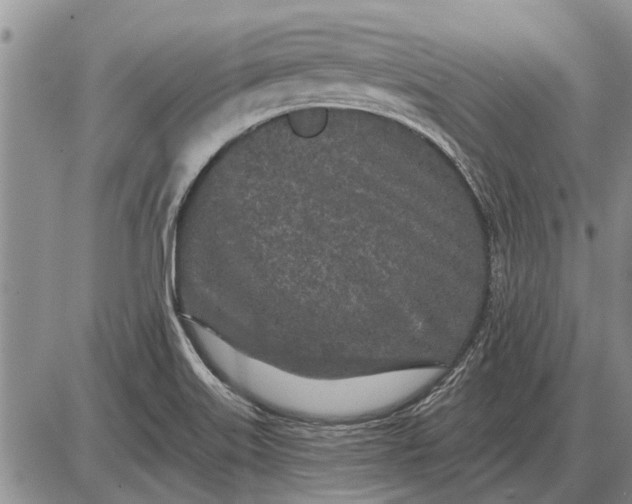 X0000085061515200703191311