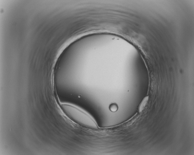 X0000085061516200703191311