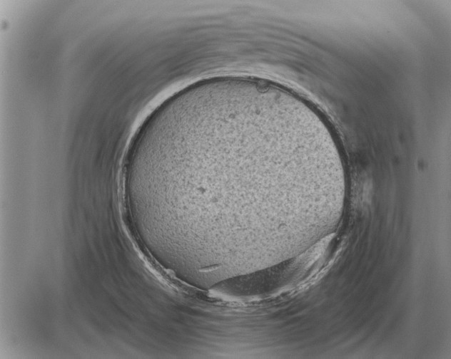 X0000085061517200703191311