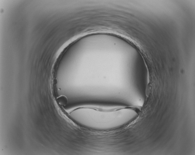 X0000085061518200703191311