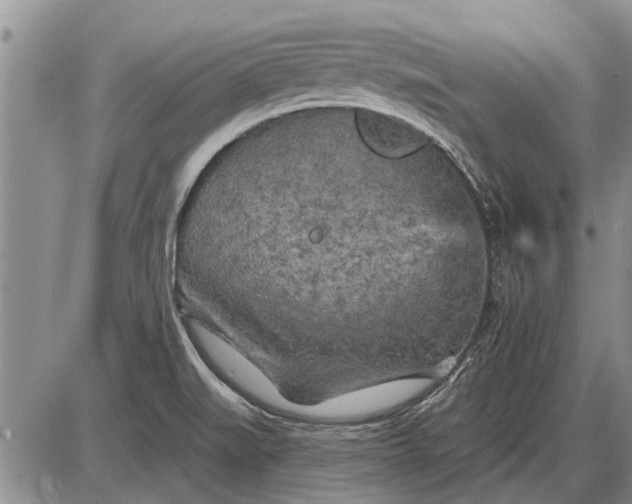 X0000085061519200703191311