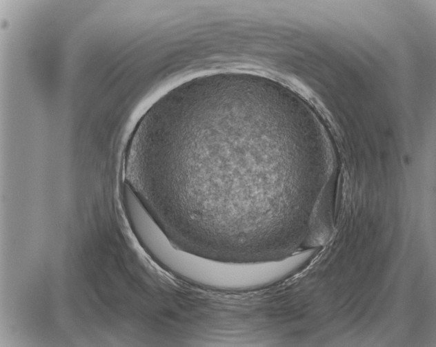 X0000085061520200703191311