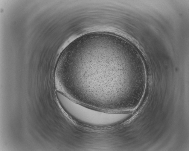 X0000085061521200703191311