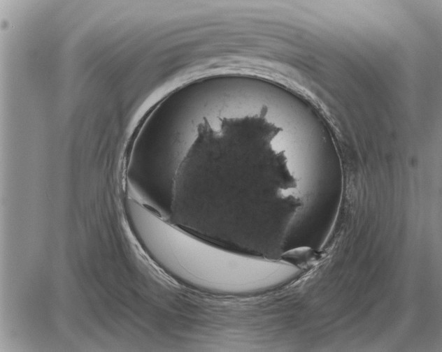 X0000085061522200703191311